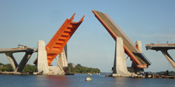 "Albatros" Bridge